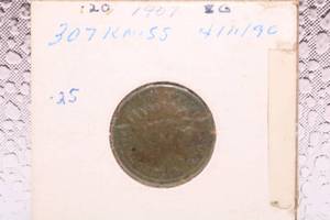 lot 256 image: 1907 Indian Head Cent Penny