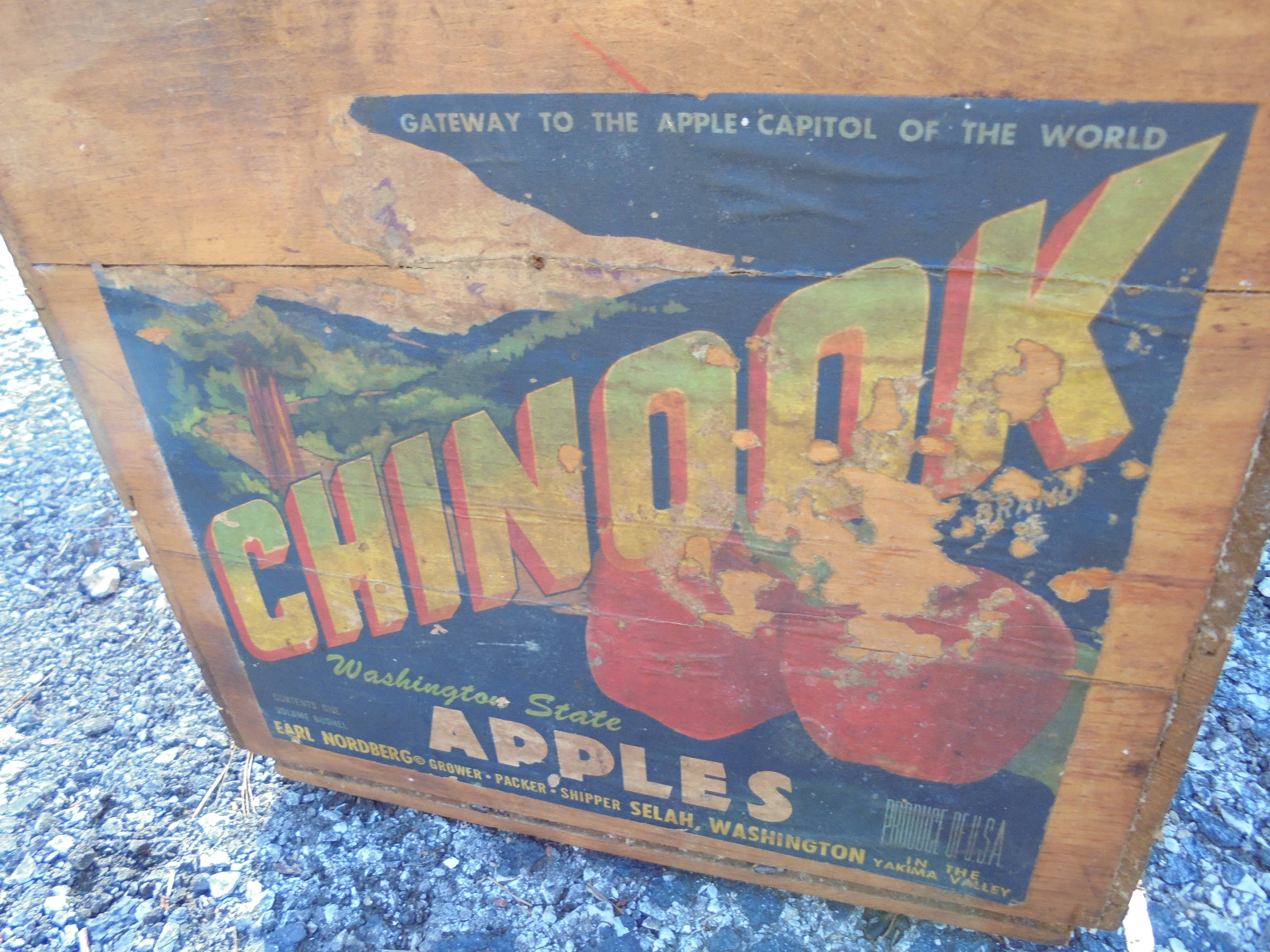 lot 132 image: CHINOOK APPLES WOODEN BOX