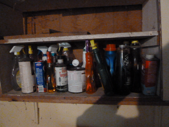 lot 361 image: CABINET FULL OF CLEANING PRODUCTSCHEMICALS