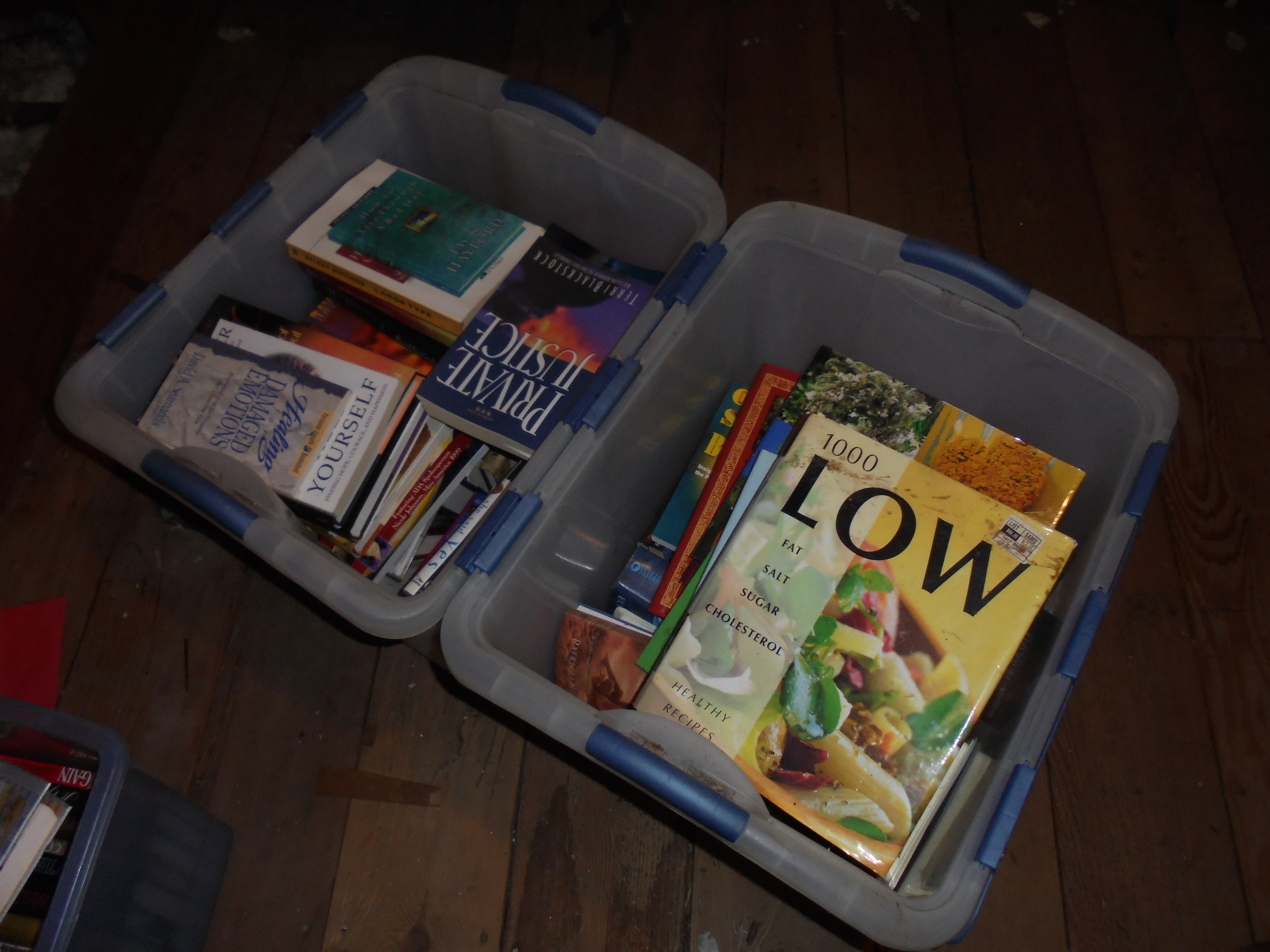 lot 326 image: 2 totes of books