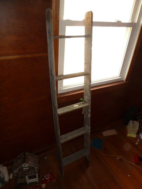 lot 870 image: OLD RUSTIC LOOKING LADDER