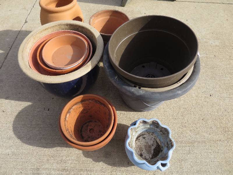 lot 47 image: Lot of Potted Planters