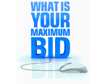 lot 3 image: This auction features maximum biddi...