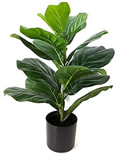 lot 50459 image: BESAMENATURE 22 Artificial Mini Fiddle Leaf Fig Tree
