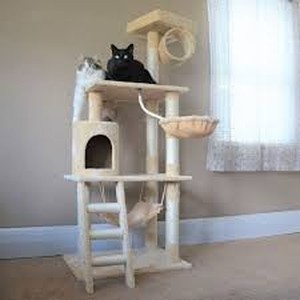 lot 50522 image: Cat Tree