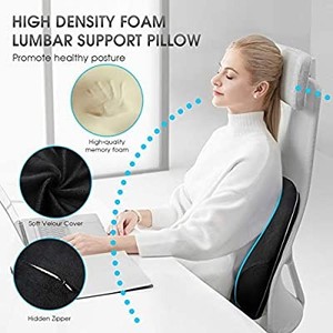 lot 50525 image: HOKEKI Lumbar Support Pillow, Meets The Ergonomic Memory Foam Lumbar Pillows, Breathable 3D Mesh Back Cushion