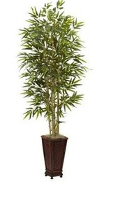 lot 97622 image: 6-foot Bamboo Silk Tree wPlanter - Green