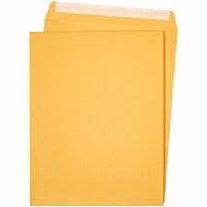 lot 37549 image: Amazonbasics Catalog Mailing Envelopes, Peel & Seal, 10x13 Inch, Brown Kraft 100 Pack