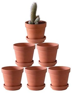 lot 37624 image: 6-Pack 4inch Terracotta Pots Clay Pots