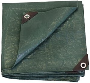 lot 37667 image: Green Tarp With Tie Down Loops
