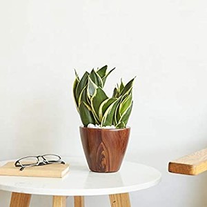 lot 50672 image: CATLEZA Smart Self-Watering Planter Pot for Indoor and Outdoor Eco-Friendly Suitable for All Plants, Herb, Succulents, Flowers, Wood Pattern