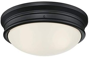 lot 50849 image: Prominence Home 51382 Designer Series Flushmount Lighting 13 Seeded Glass Lo...