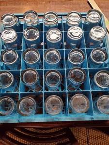 lot 3021 image: Lot of 25 Medium Bar Glasses with Blue Dish Wash Rack&nbsp