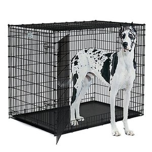 lot 3216 image: Midwest SL54DD Ginormus Double Door Dog Crate for XXL  Largest Dogs Breeds - Great Dane, Mastiff, St. Bernard, etc...