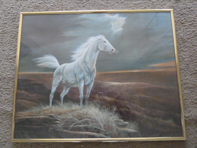 lot 270 image: BEAUTIFUL WHITE HORSE FRAMED ART