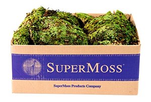 lot 52753 image: SuperMoss (21881) Royal Pool Moss Preserved, Fresh Green, 3lbs