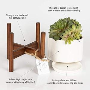 lot 52838 image: Set 2 Mid Century Modern Succulent Planter Large Bowl and Midi, Pots with Wood Stand and Hidden Saucer, Round Ceramic White Planters, Cactus and Plant Container with Drainage, Indoor