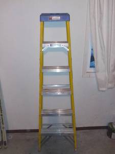 lot 9040 image: Davidson 6 Foot Fiberglass Ladder Type I