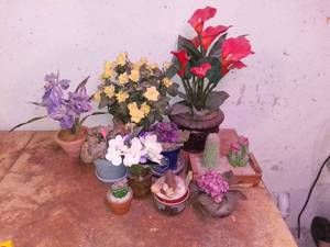 lot 8132 image: Lot of Faux Plants