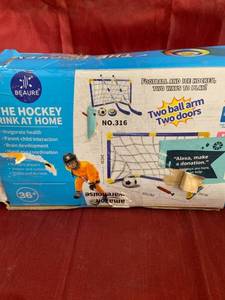 lot 92537 image: Beaure - The Hockey Rink At Home