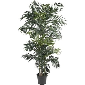 lot 3054 image: Silk Golden Cane Palm Tree
