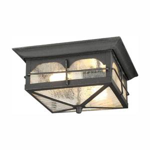 lot 46055 image: Home Decorators Collection Brimfield 2-Light Aged Iron Outdoor Flushmount Light