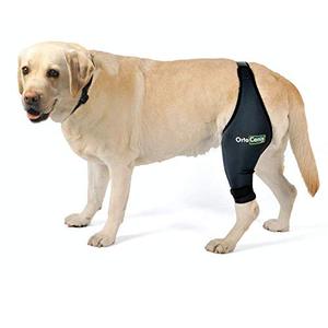 lot 22270 image: Ortocanis Original Knee Brace for Dogs with ACL, Knee Cap Dislocation, Arthritis - Keeps The Joint Warm - Extra Support - Reduces Pain and Inflammation - Size M - Right Leg