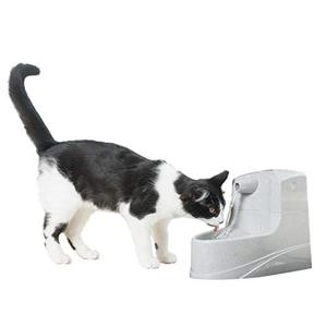 lot 23004 image: PetSafe Drinkwell Mini Pet Fountain for Cats and Small Dogs Filtered Water Filter Included, PWW00-14402
