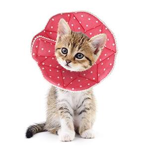 lot 23026 image: SLSON Cat Recovery Collar Soft Pet Cone Collar Protective Cotton Cone Adjustable Fasteners Collar for Cat and Puppy, Pink(S)
