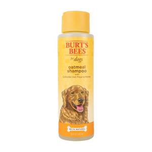 lot 23037 image: Burts Bees Oatmeal Pet Shampoo - 16oz