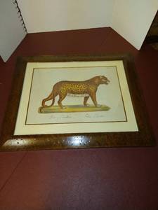 lot 1569 image: Der Panther Feliz Pardus framed wall art