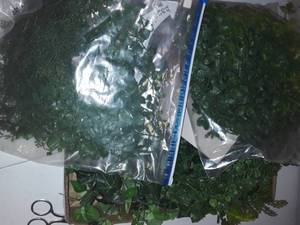 lot 2055 image: Lot of faux greenery
