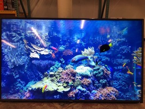 lot 5004 image: Vizio 55 Smart 4K V-Series Tv