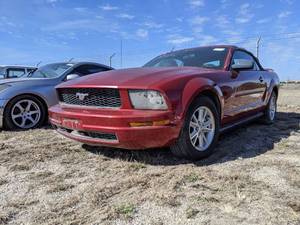 lot 1353 image: 2006 Ford Mustang