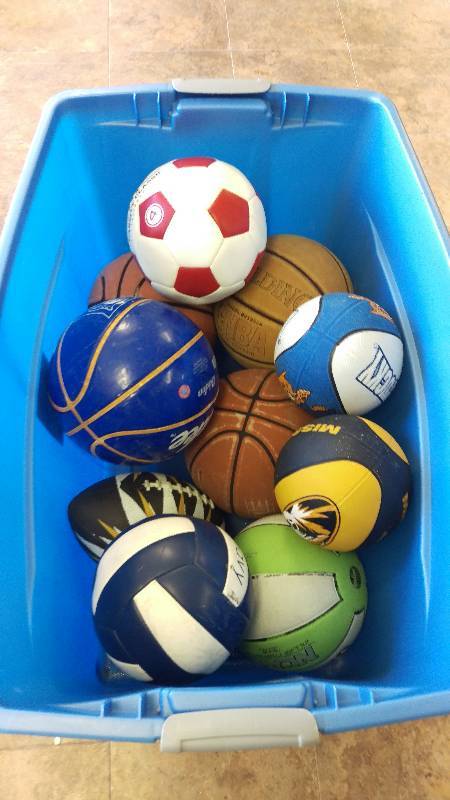 lot 39 image: Large Tote of Outdoor Balls