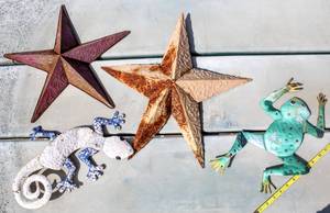 lot 8147 image: (4) Outdoor Metal Wall Art Pieces - Stars, Gecko  Frog