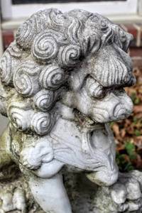 lot 8171 image: Outdoor Concrete Garden Statue of a Foo Dog 19 T