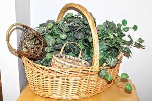 lot 8255 image: Decorative Baskets Largest 26 x 24  Faux Foliage