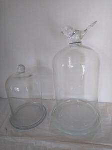 lot 1955 image: 2 glass dome cloches