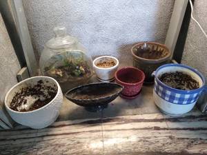 lot 1970 image: 6 planters & terrarium