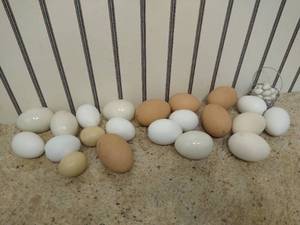 lot 2133 image: (22) ceramic egg decor