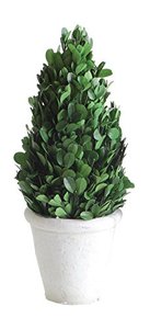 lot 25355 image: Creative Co-op 11 Preserved Boxwood Cone Shaped Clay Pot Topiary, Medium, Green,DA5562