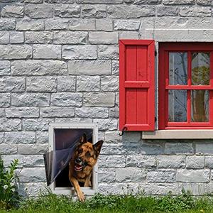 lot 25483 image: Ideal Pet Products Designer Series Ruff-Weather Pet Door Wall Installation Kit, Super Large, 15 x 23.5 Flap Size, Grey (DSRWSLWK)