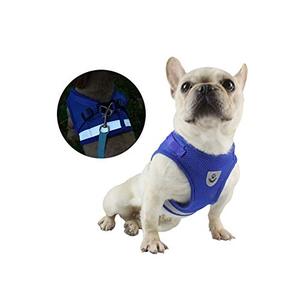 lot 25762 image: GHTMONY Dog Harness with Leash Set, Adjustable Escape Proof Breathable Harness with Leash Set for Small, Medium and Large Dog and Cat Outdoor Activity Care (S, Gray)