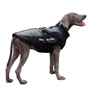 lot 25782 image: Dog Jacket - Winter Coat for Dogs Extra Warm Plush Collar Waterproof Windproof Pet Jacket for Hiking Camping with Zipper Reflective Dog Vest for Medium Large Dogs Build-in Harness (2XL, Grey)