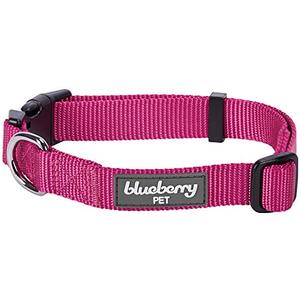 lot 25787 image: Blueberry Pet Essentials 21 Colors Classic Dog Collar, Very Berry, Small, Neck 12-16, Collars for Dogs