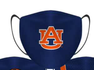 lot 25163 image: 3 Layer Face Mask Auburn