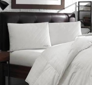 lot 22318 image: Jumbo- Eddie Bauer 2 Pack of LiquiLoft 230 TC Quilted Microfiber Pillows