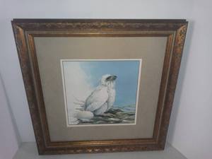 lot 3704 image: Framed Picture Baby Bald Eagle In Nest