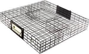 lot 13445 image: Rugged Ranch SQRTO Squirrelinator Trap CatchMor Live Animal 2 Door Metal Cage Retail $66.99